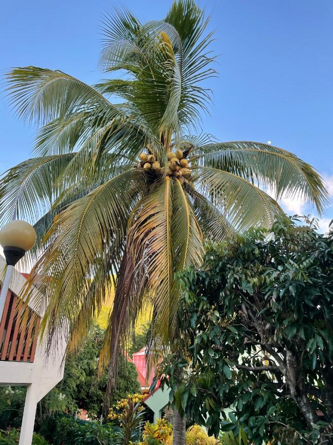 Residence Sucrerie Motel - Les Anses-D'Arlets - Martinique Zewnętrze zdjęcie