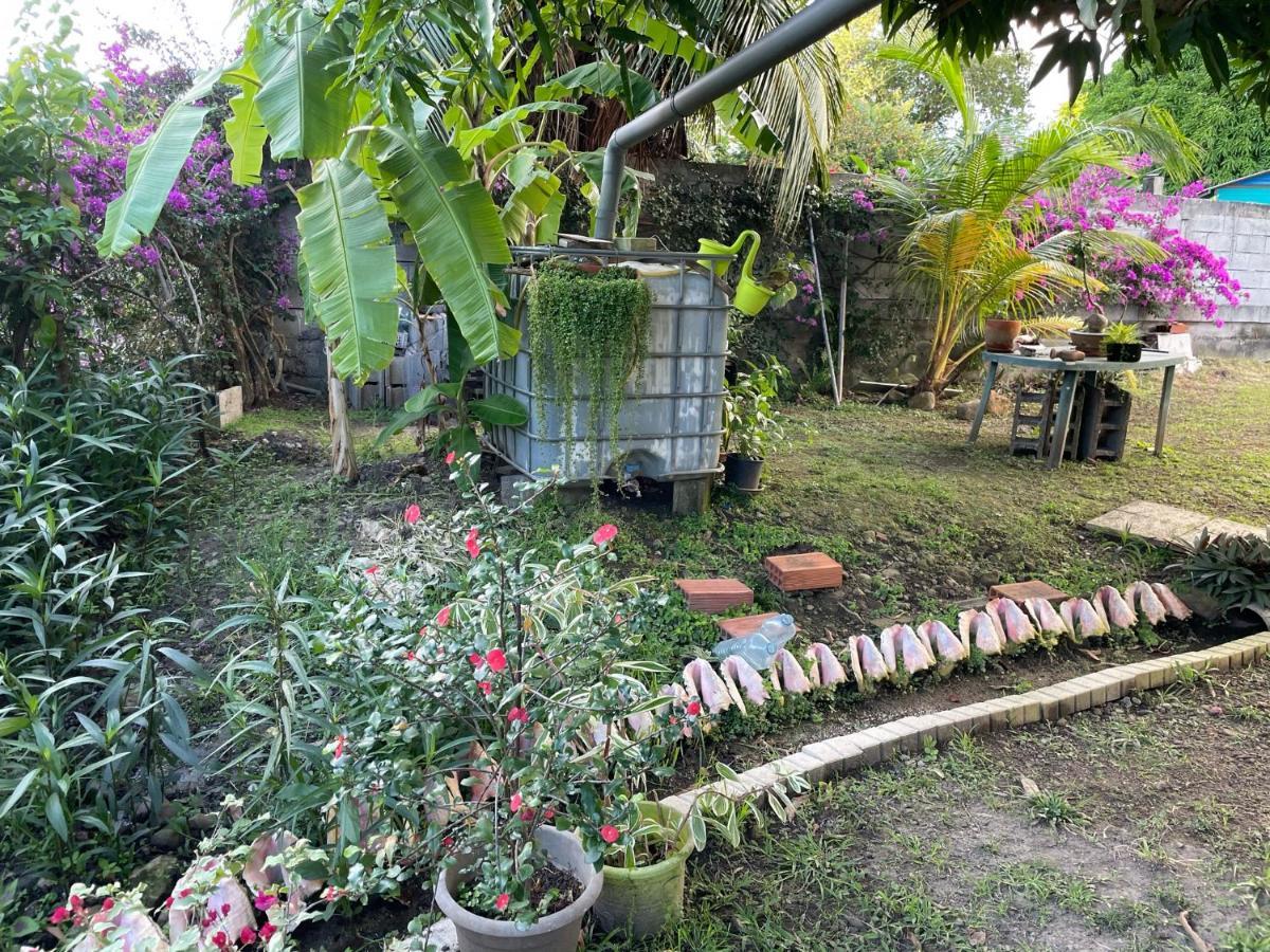 Residence Sucrerie Motel - Les Anses-D'Arlets - Martinique Zewnętrze zdjęcie