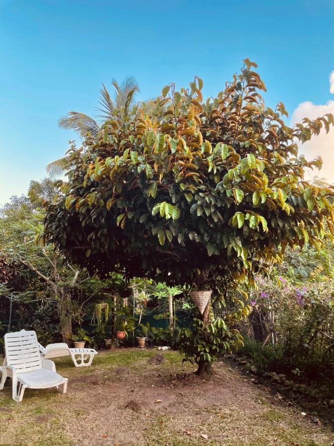 Residence Sucrerie Motel - Les Anses-D'Arlets - Martinique Zewnętrze zdjęcie