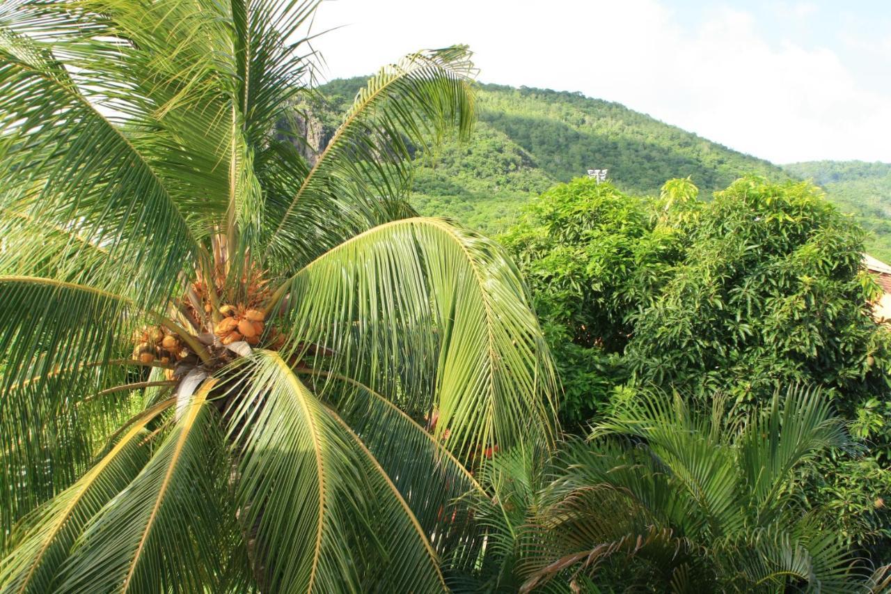 Residence Sucrerie Motel - Les Anses-D'Arlets - Martinique Zewnętrze zdjęcie